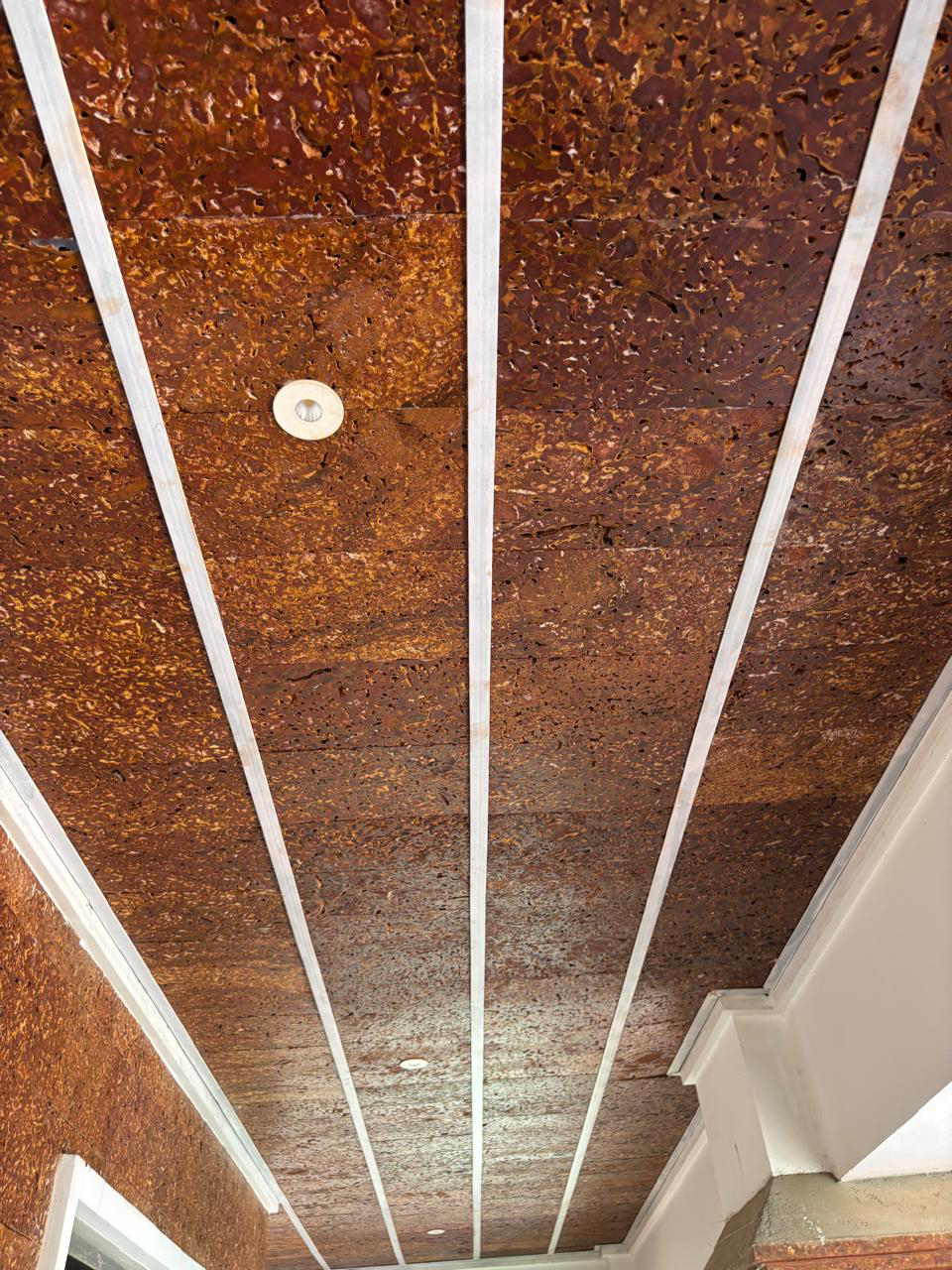 Modern home with laterite stone accents